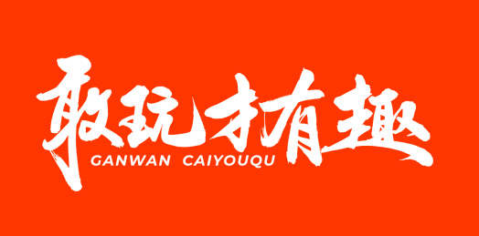 敢玩才有趣 手书手写汉字书法字体