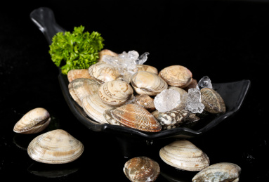 黑底上放着一盘鲜冻花蛤