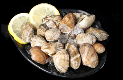 黑底上放着一盘鲜冻花蛤