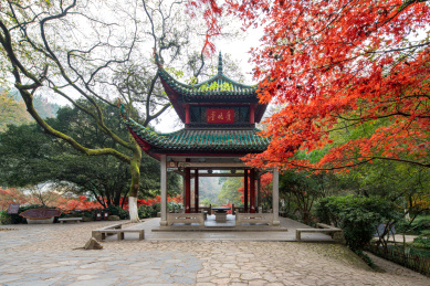 中国四大赏枫胜地－长沙岳麓山爱晚亭红枫