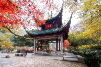 中国四大赏枫胜地－长沙岳麓山爱晚亭红枫