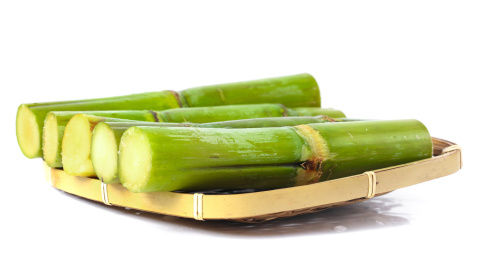 白底上放着一蓝新鲜陶山青皮果蔗