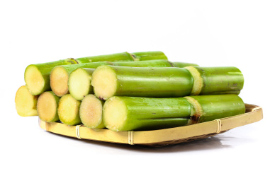 白底上放着一蓝新鲜陶山青皮果蔗