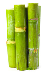 白底上放着一堆新鲜青皮果蔗