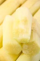 一堆削皮的陶山果蔗