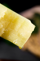 一节咬过的陶山果蔗特写