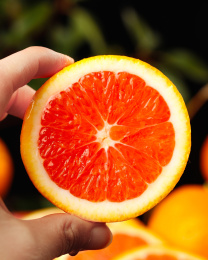 手上拿着一块中华红血橙