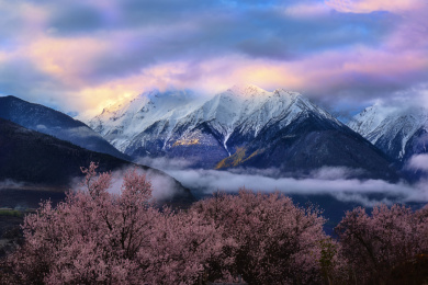 中国西藏林芝索松村桃花雪山