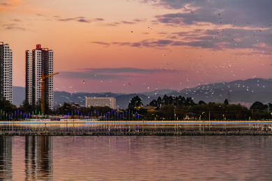 中国云南省临沧市玉龙湖湿地白鹭栖息地自然景观