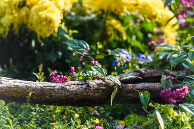 横倒放在花草丛中的树躯杆树枝