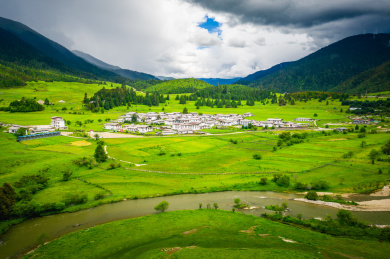 中国西藏林芝市巴宜区鲁朗镇鲁朗林海风光