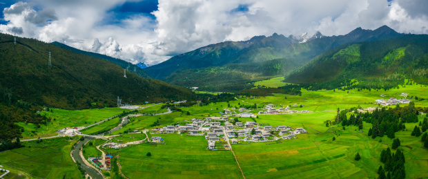 中国西藏林芝市巴宜区鲁朗镇鲁朗林海风光