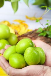 手上捧着牛奶大青枣