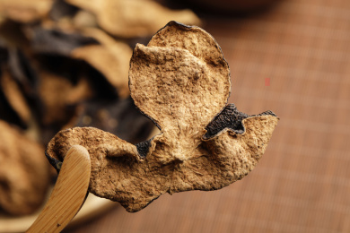 传统中药材新会陈皮