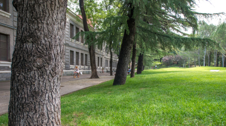 北京清华大学清华学堂傍的行道树和草坪