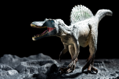 陨石坑旁的棘龙