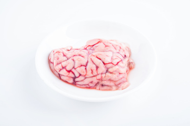 白背景上的新鲜羊脑 