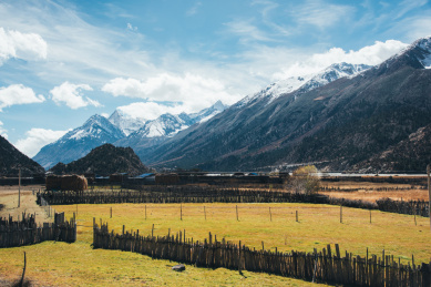 雪山下的金色农场牧场，位于中国西藏高原