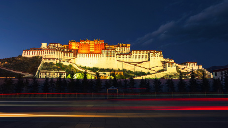 中国西藏自治区拉萨市布达拉宫