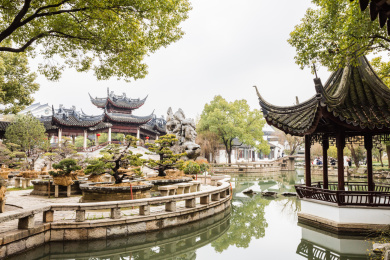 中国江苏苏州园林静思园风光