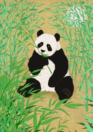 在竹林深处嬉戏的大熊猫