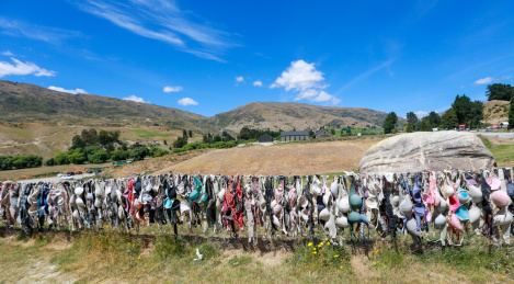 新西兰胸罩栅栏