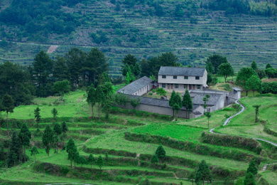 中国浙南茗岙梯田