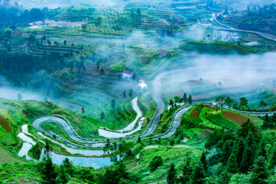 中国浙南茗岙梯田