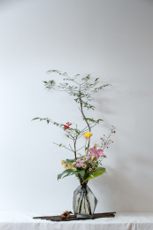 浅色背景深色花瓶上一束盛开花朵的插花装饰