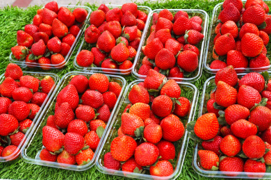 绿色背景中美味的新鲜草莓特写