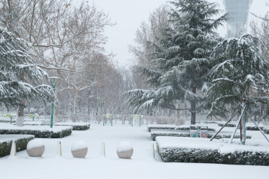 暴雪中的广场