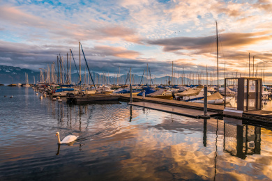 欧洲瑞士日内瓦湖港口日出