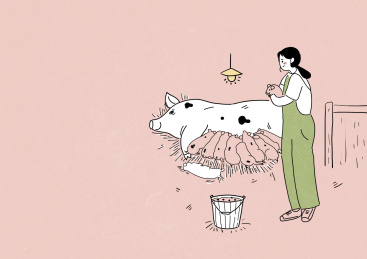 三农 猪 女孩 清新 简笔 灯 桶