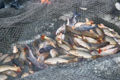 北方冬季湖面冰上捕鱼活动