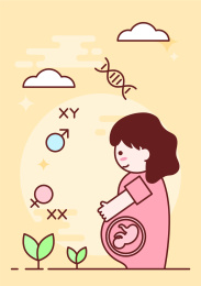 MBE风生理教育插画