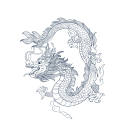 插画 龙