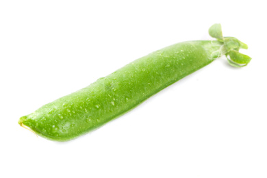 白底上放着一个青豆荚