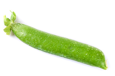 白底上放着一个青豆荚