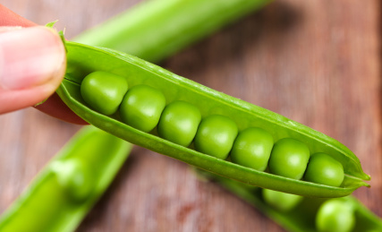 手上拿着一个剥开壳的