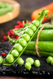 黑底一个剥开壳的青豆荚