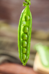 手上拿着一个剥开壳的