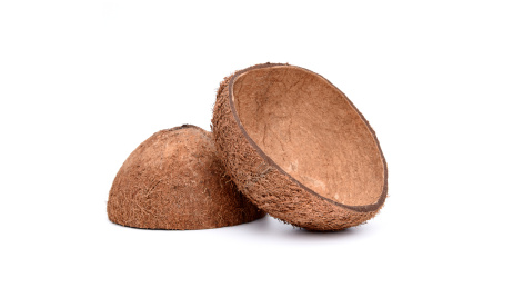 切开一半的天然椰子壳