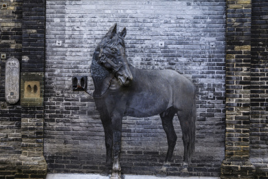 中国四川成都宽窄巷子著名景点