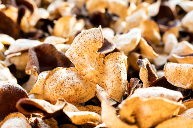 广东省江门市特产新会陈皮干晒制作过程