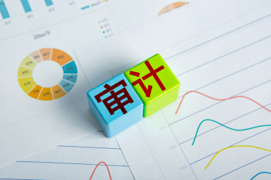 审计概念图