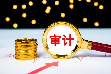 审计概念图