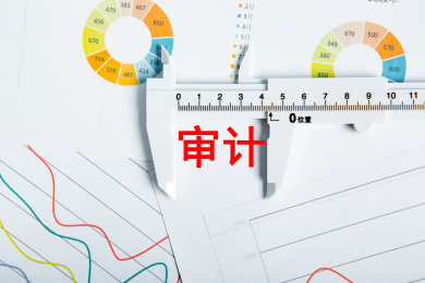 审计概念图