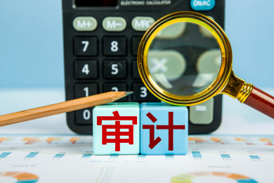 审计概念图