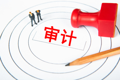 审计概念图