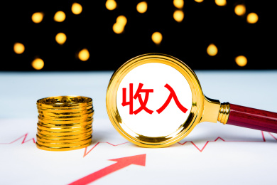 收入概念